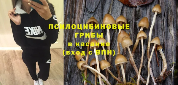 MDMA Богородск