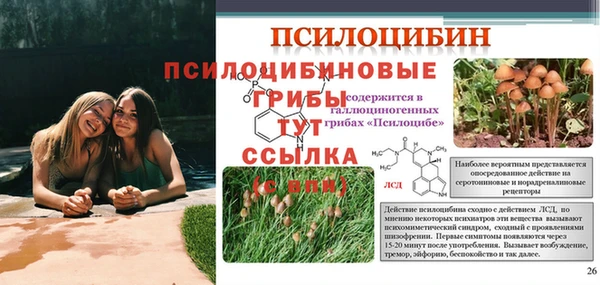 ешки Богородицк