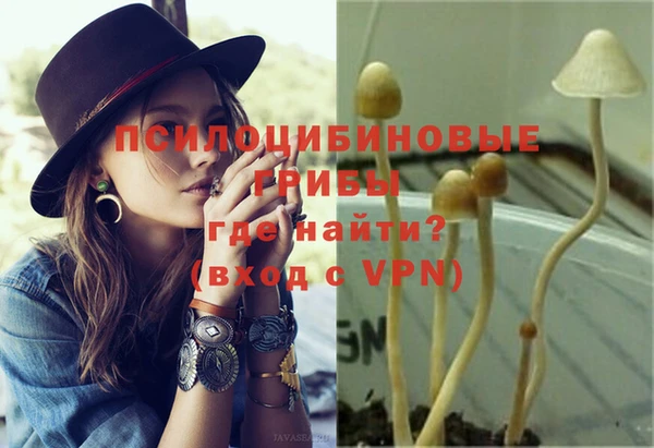 ешки Богородицк